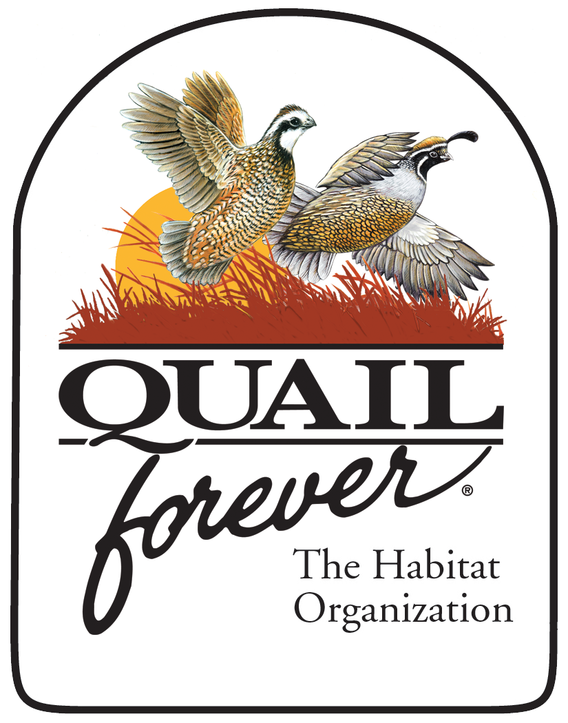 Quail Forever